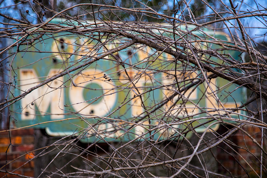 Without proper planning it is easy for signs to get obscured - particularly by trees.