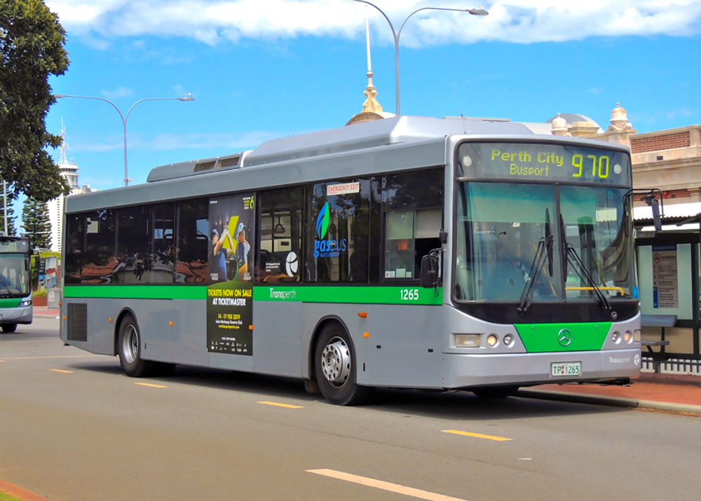 Fleet graphics for TransPerth busses.